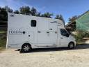 Kleine paardenvrachtwagen (B rijbewijs) Trans Box Master 2025 Nieuw