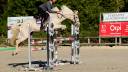 Merrie Iers sportpaard Te koop 2018 Palomino ,  Tullabeg Fusion