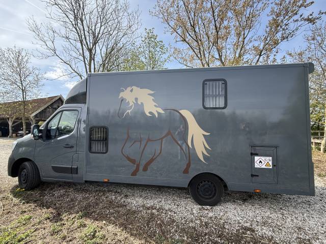 Paardenwagen Renault Master (B-rijbewijs)