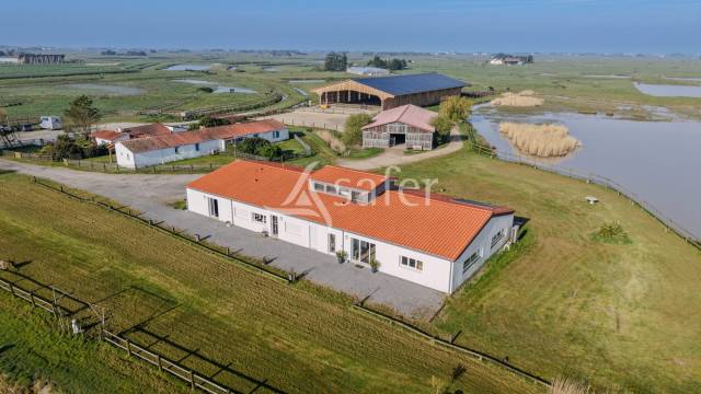 Hippisch vastgoed Koop Vend&eacute;e
