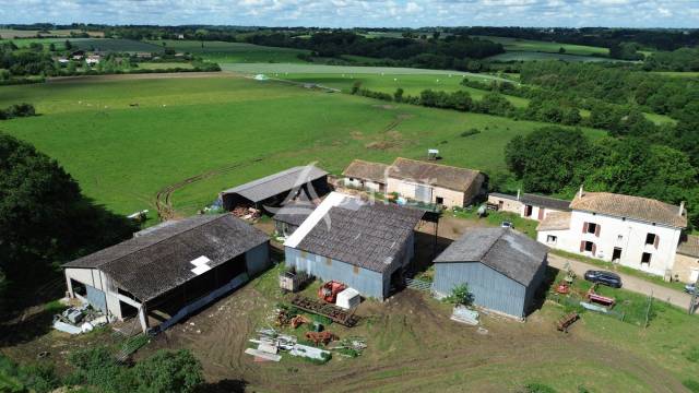 Schapen exploitatie Koop Deux-S&egrave;vres