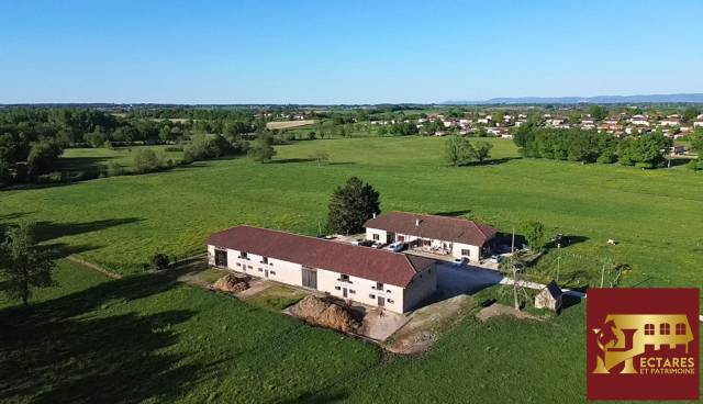 Paarden accommodatie Koop Ain