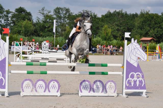 Merrie Andere pony rassen Te koop 2013 Donker bruin / bai ,  AFAS DE NAVA