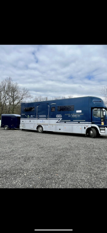 Zware paardenvrachtwagen (groot rijbewijs) STX  2007 Tweedehands
