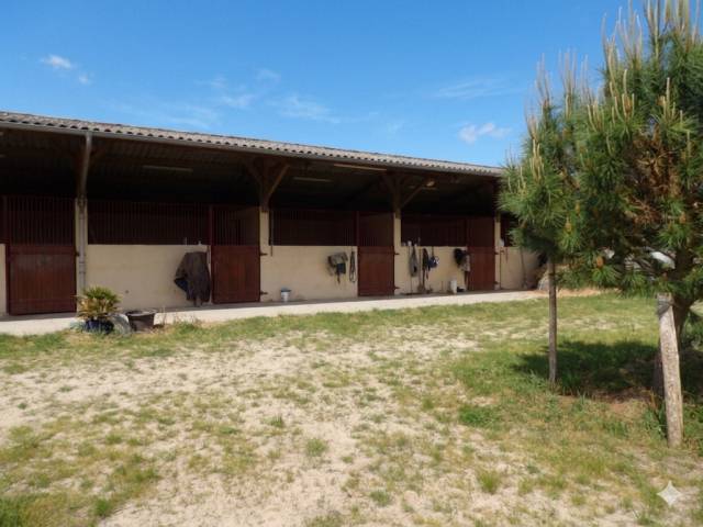 Eigenaren stal Koop Landes