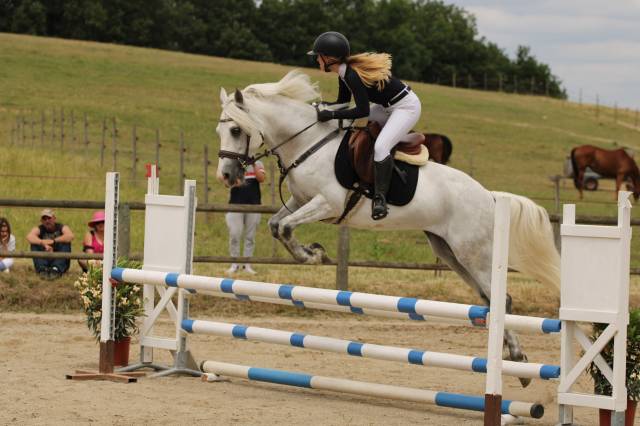 Ruin Connemara Te koop 2015 Schimmel ,  IMPERIAL DU BLIN