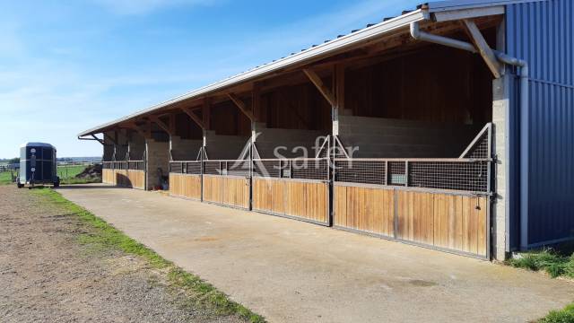 Hippisch vastgoed Koop Mayenne