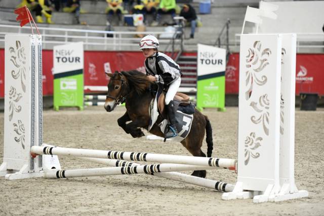 Merrie Shetland Te koop 2020 Donker bruin / bai