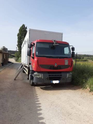 Zware paardenvrachtwagen (groot rijbewijs) Renault Premium  2010 Tweedehands