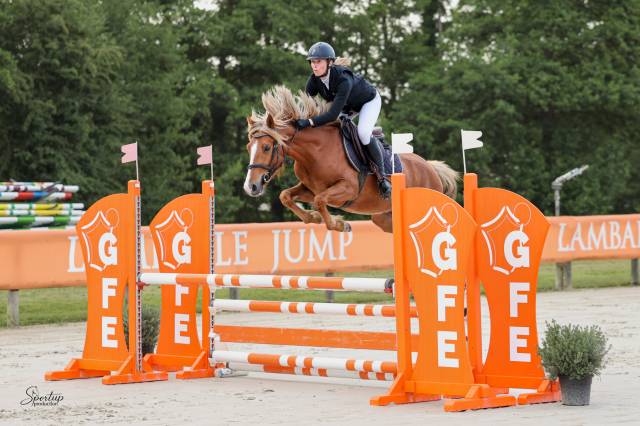 Ruin Welsh Partbred Te koop 2022 Vos