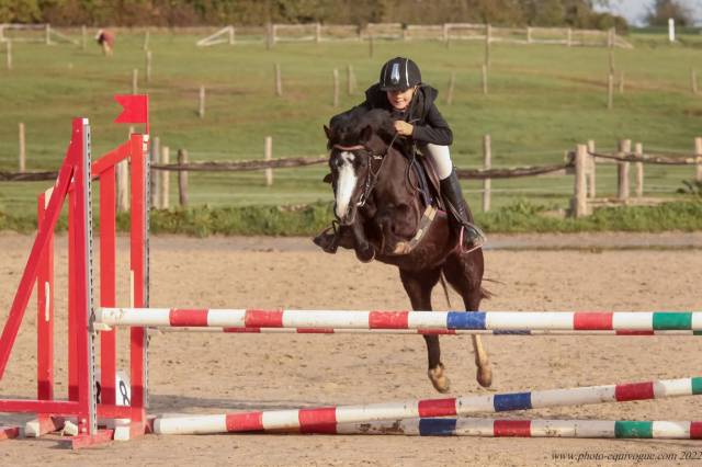 Merrie Welsh Pony (Section A) Te leen 2020 Zwart