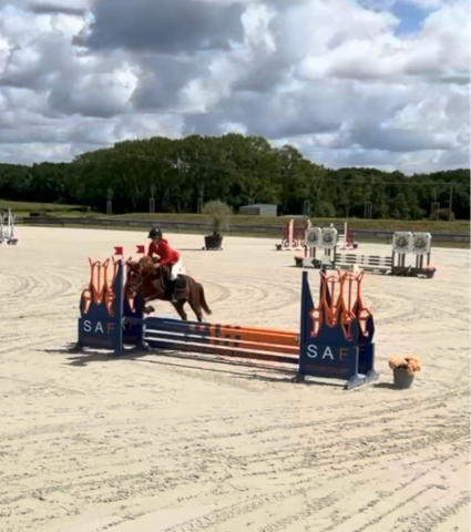 Merrie Franse rijpony PFS Te koop 2021 Koffie vos