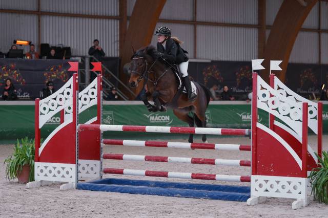Merrie Franse rijpony PFS Te leen 2016 Donker bruin / bai ,  QUABAR DES MONCEAUX