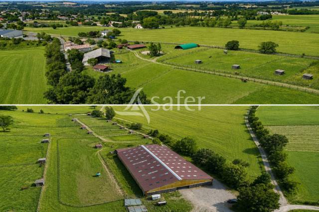 Hippisch vastgoed Koop tarn
