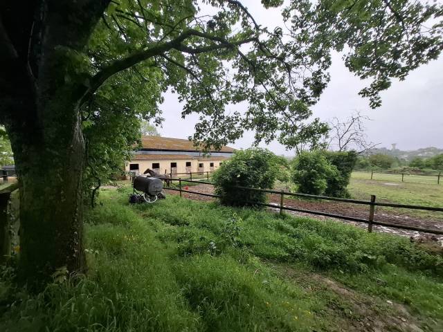 Eigenaren stal Koop Sarthe