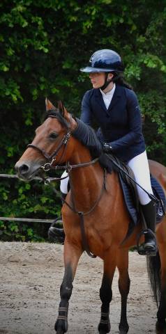 Merrie Andere pony rassen Te koop 2021 Donker bruin / bai