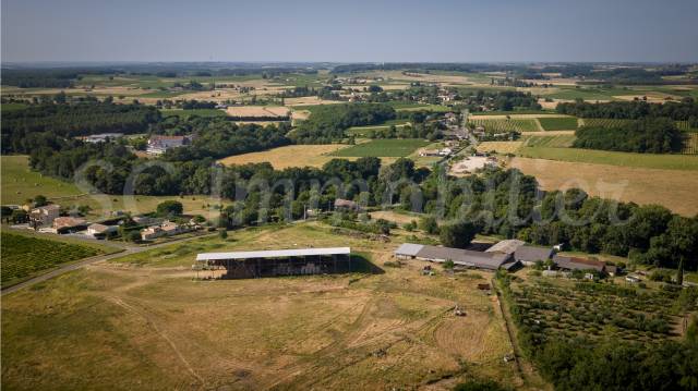 Landbouw bedrijf Koop Gironde