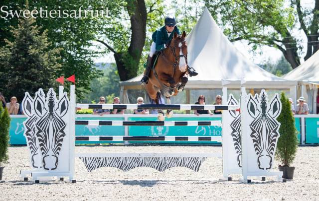 Very good show jumper