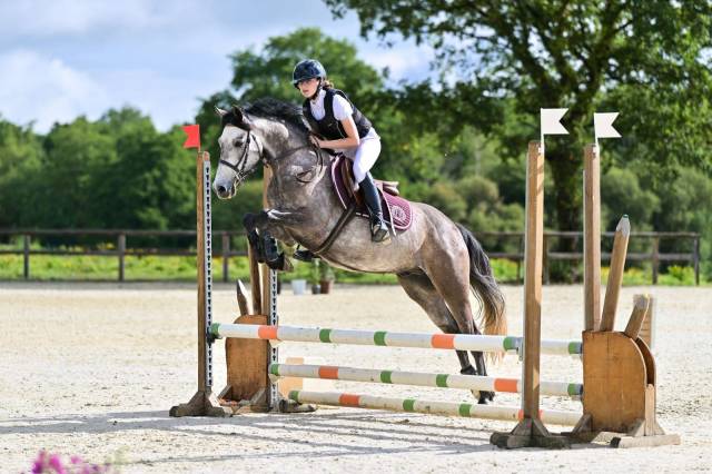 Ruin Franse rijpony PFS Te koop 2021 Schimmel