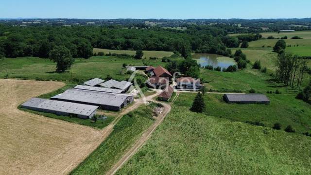 Schapen exploitatie Koop Corr&egrave;ze