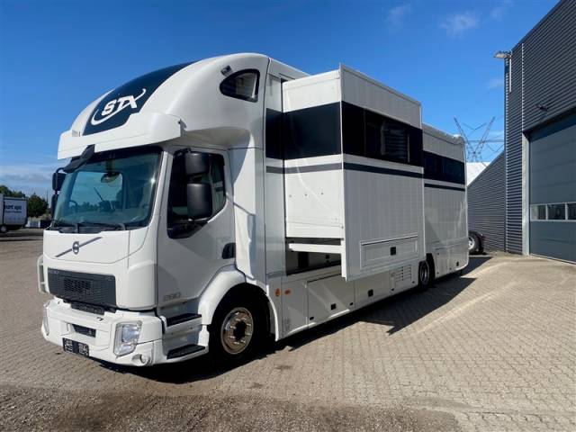 Zware paardenvrachtwagen (groot rijbewijs) Volvo STX 2014 Tweedehands