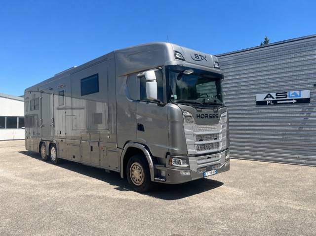 Zware paardenvrachtwagen (groot rijbewijs) STX  2018 Tweedehands