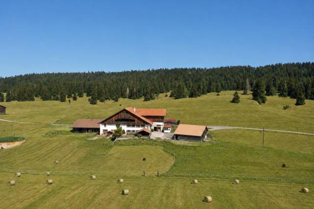 Paarden boerderij Koop Neuch&acirc;tel