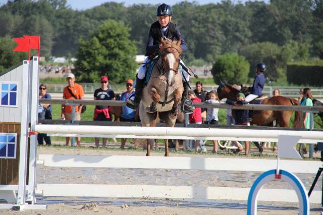 Ruin Welsh Pony (Section B) Te leen 2015 Vos roan