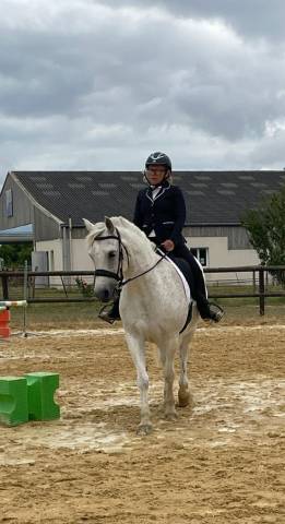 Ruin Connemara Te koop 2010 Schimmel ,  soprano leam pondi