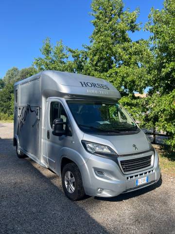 Kleine paardenvrachtwagen (B rijbewijs) Equi-Trek Atom 2018 Tweedehands