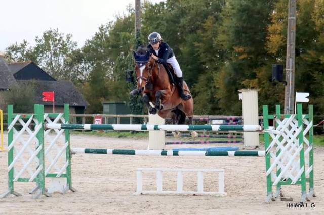 Merrie Franse rijpony PFS Te leen 2009 Donker bruin / bai