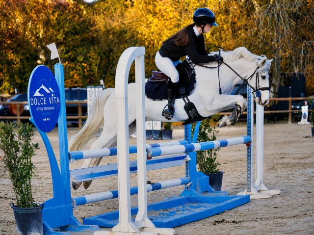 Ruin Franse rijpony PFS Te koop 2017 Palomino