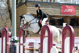 Ruin Franse rijpony PFS Te koop 2017 Schimmel
