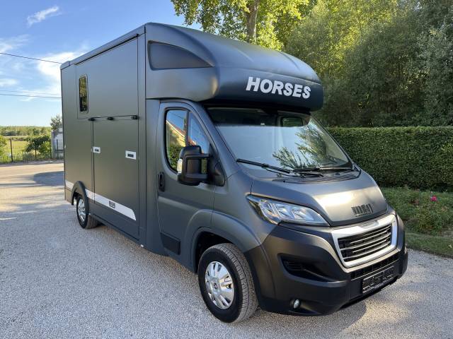 Kleine paardenvrachtwagen (B rijbewijs) Peugeot PEUGEOT BOXER BLUEHDI 165 MSG STALLION LIGHT 2025 Tweedehands