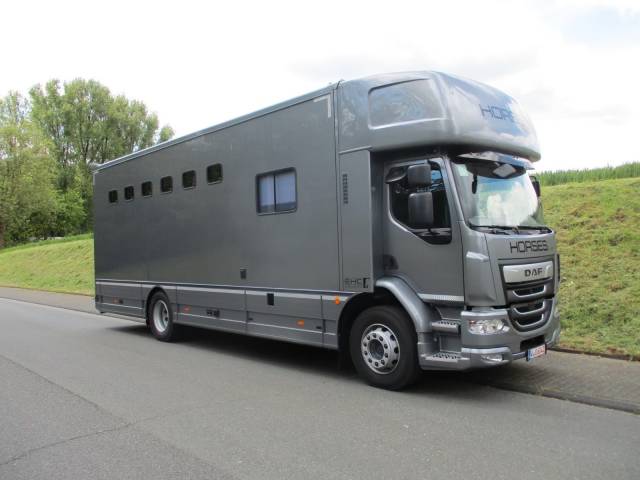 Zware paardenvrachtwagen (groot rijbewijs) Daf DAF LF 310 EHC 2026 Nieuw