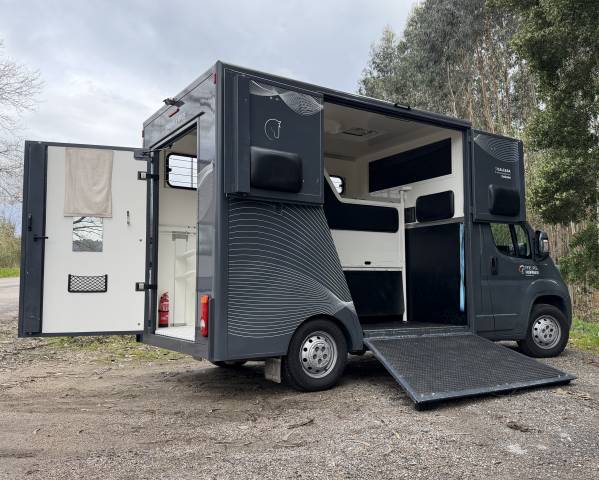 Kleine paardenvrachtwagen (B rijbewijs) Citroen Junoer 2018 Tweedehands