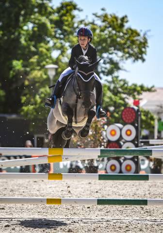 Merrie Franse rijpony PFS Te koop 2018 Bruinroan