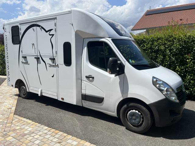 Kleine paardenvrachtwagen (B rijbewijs) Opel Movano - Cavalcar 2020 Tweedehands