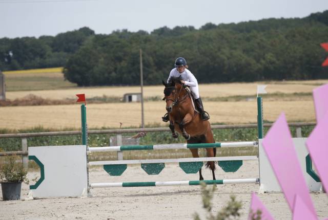 Ruin Franse rijpony PFS Te koop 2019 Donker bruin / bai ,  QUABAR DES MONCEAUX