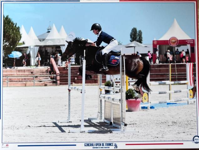 Merrie Franse rijpony PFS Te koop 2020 Donker bruin / bai ,  GOLIATH DES LONDES