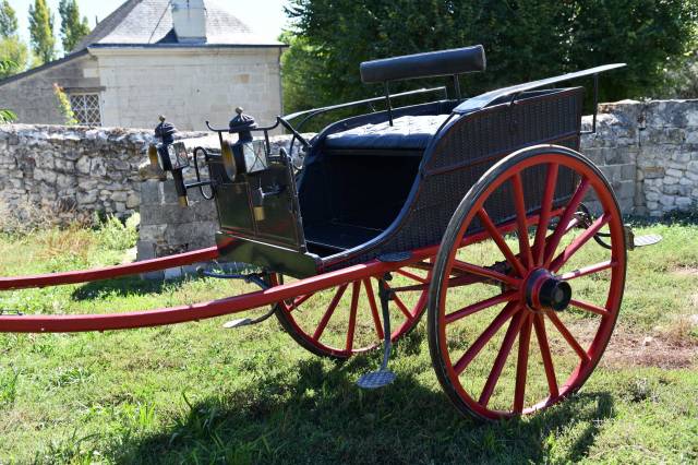 Rijtuigen - Cal&egrave;che - Ander merk - dog-cart &agrave; 2 roues, de style anglais 