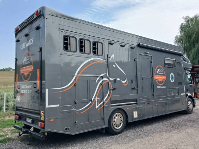 Zware paardenvrachtwagen (groot rijbewijs) Renault MILDIUM 280 DXI 2008 Tweedehands