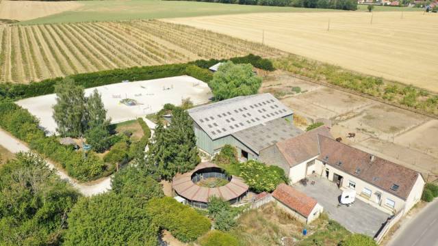 Paarden accommodatie Koop Marne