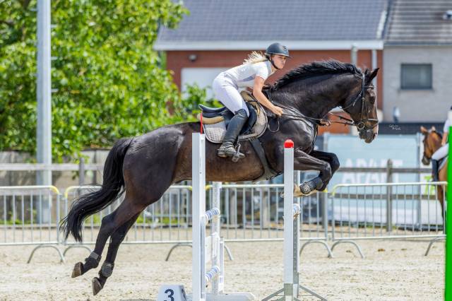 Betrouwbare BWP-ruin van 14 jaar: Springen en recreatie