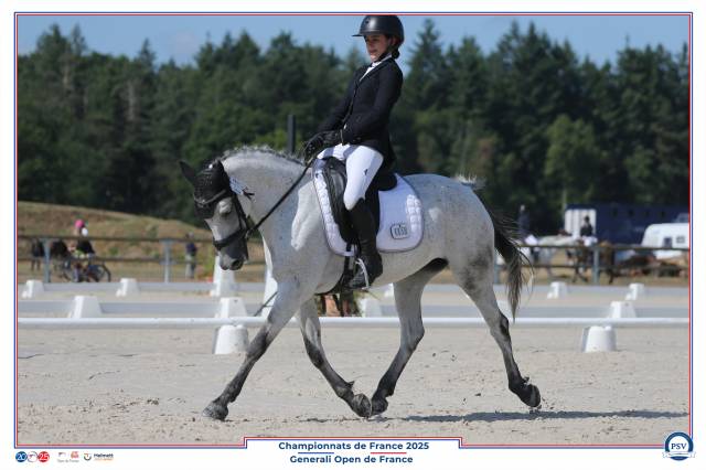 Merrie Connemara Te leen 2014 Schimmel ,  HEROS VAN DE GROENWEG (BEL)