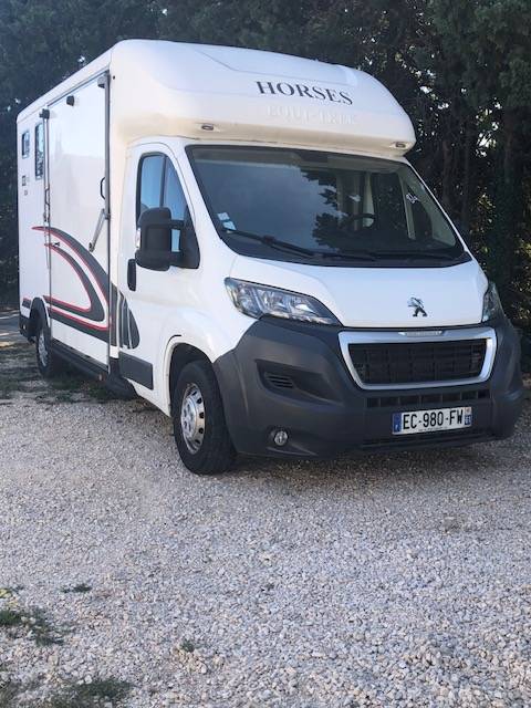 Kleine paardenvrachtwagen (B rijbewijs) Peugeot equitreck 2016 Tweedehands