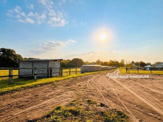 Hippisch vastgoed Koop Manche