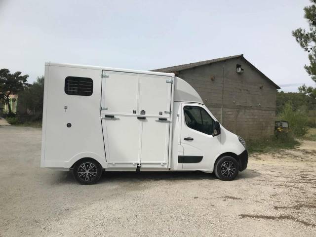 Kleine paardenvrachtwagen (B rijbewijs) Renault  2019 Tweedehands