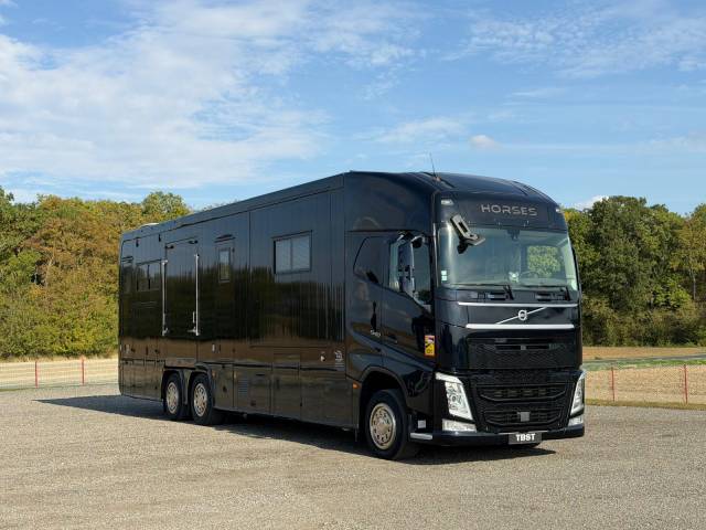 Zware paardenvrachtwagen (groot rijbewijs) Volvo STX 2018 Tweedehands