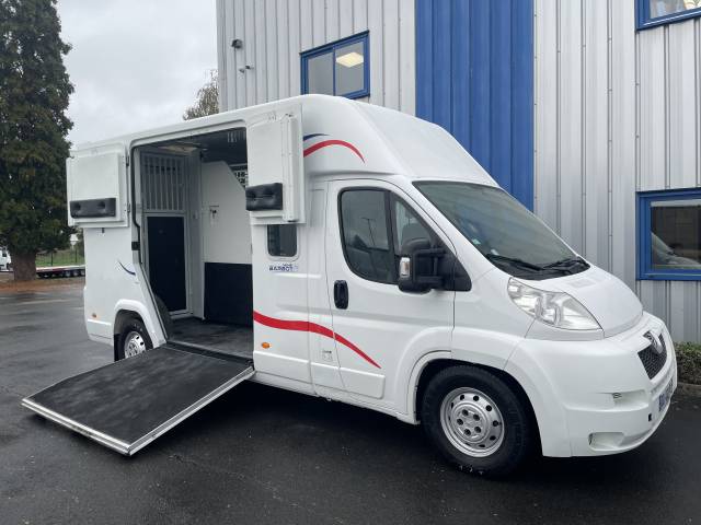 Kleine paardenvrachtwagen (B rijbewijs) Barbot Boxer 2014 Tweedehands